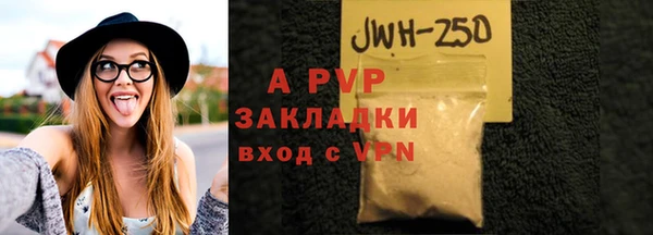 PSILOCYBIN Верхний Тагил
