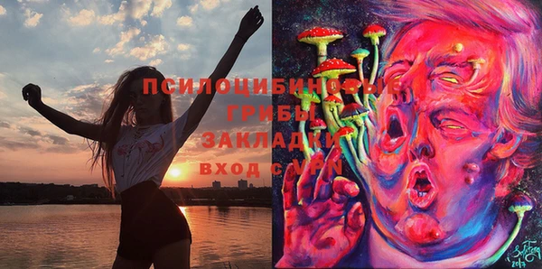 PSILOCYBIN Верхний Тагил