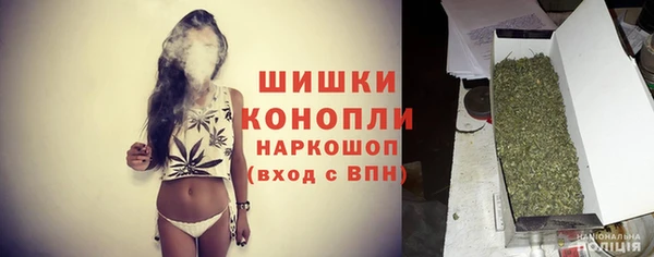 PSILOCYBIN Верхний Тагил