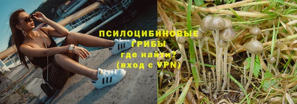 PSILOCYBIN Верхний Тагил