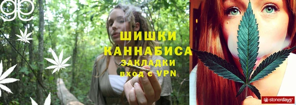 ПСИЛОЦИБИНОВЫЕ ГРИБЫ Верхнеуральск