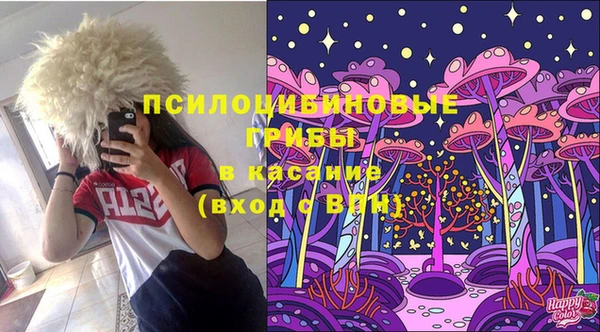 ПСИЛОЦИБИНОВЫЕ ГРИБЫ Верхнеуральск