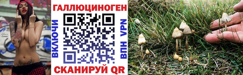 Галлюциногенные грибы GOLDEN TEACHER Качканар